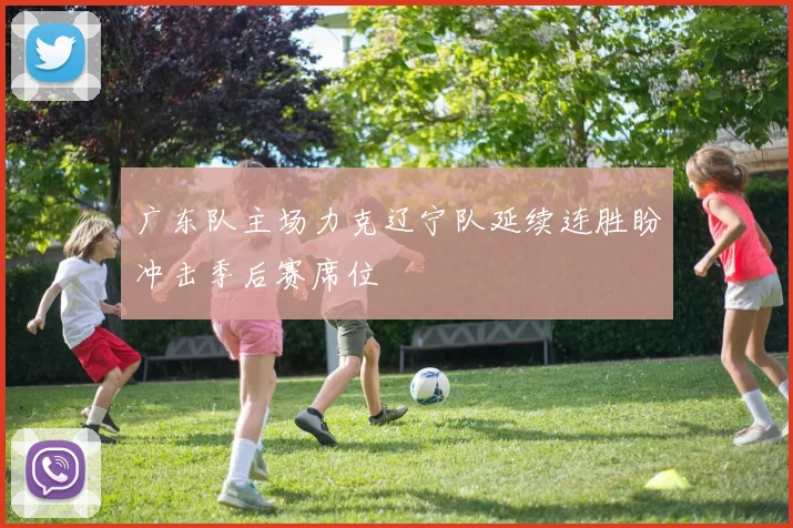 广东队主场力克辽宁队延续连胜盼冲击季后赛席位