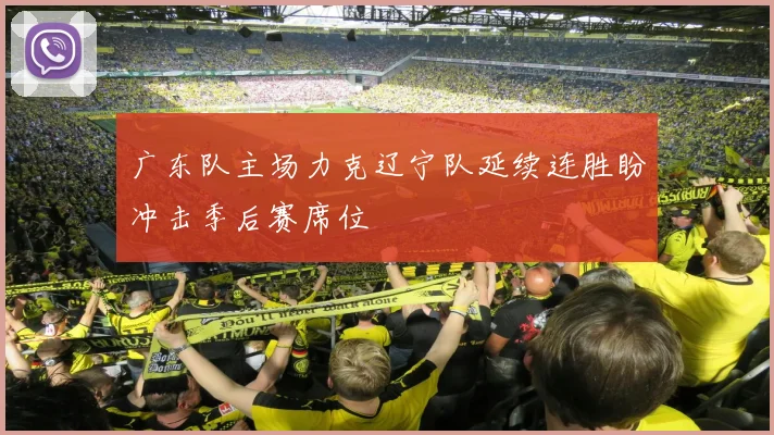 广东队主场力克辽宁队延续连胜盼冲击季后赛席位